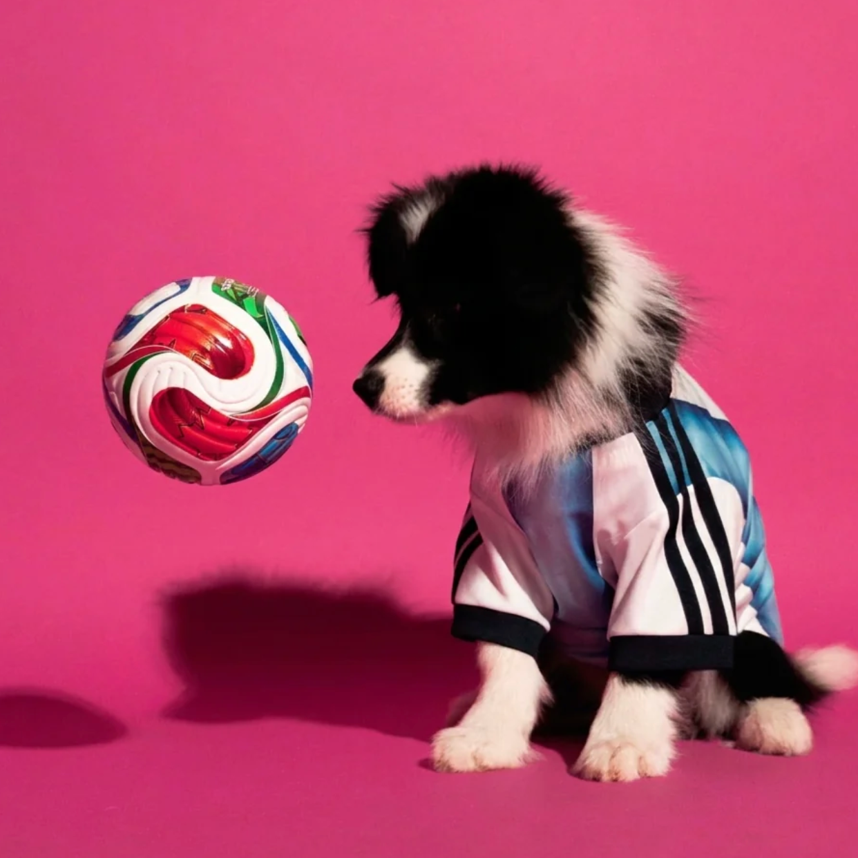 World Cup Dog Jersey — Nation Pack