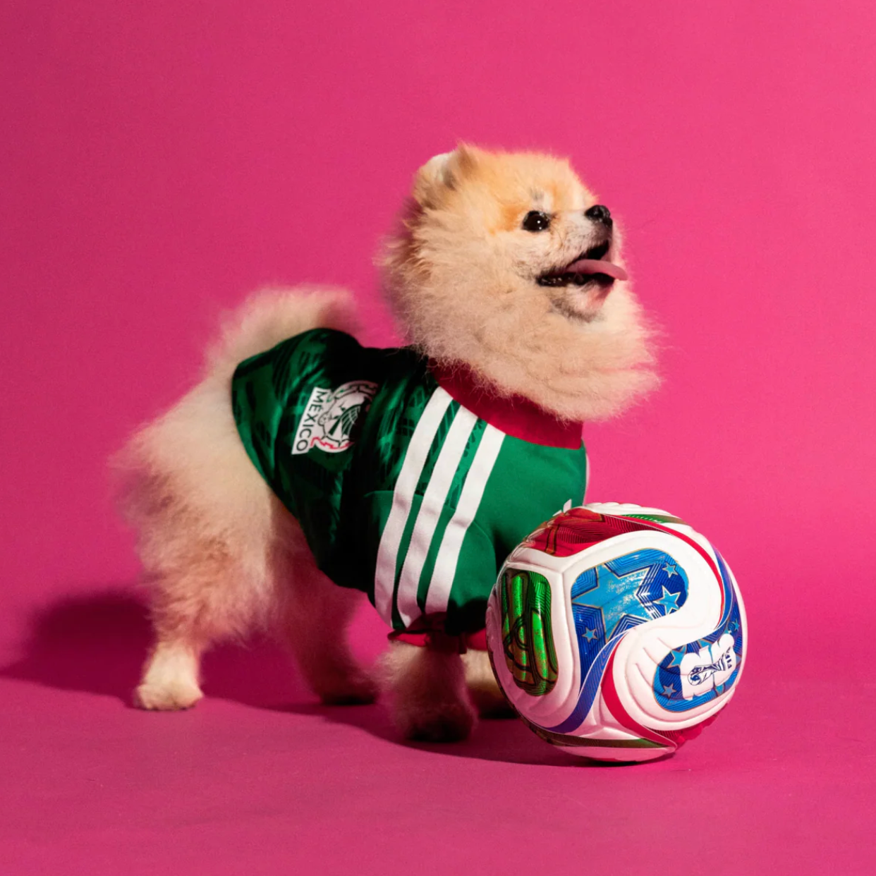 World Cup Dog Jersey — Nation Pack