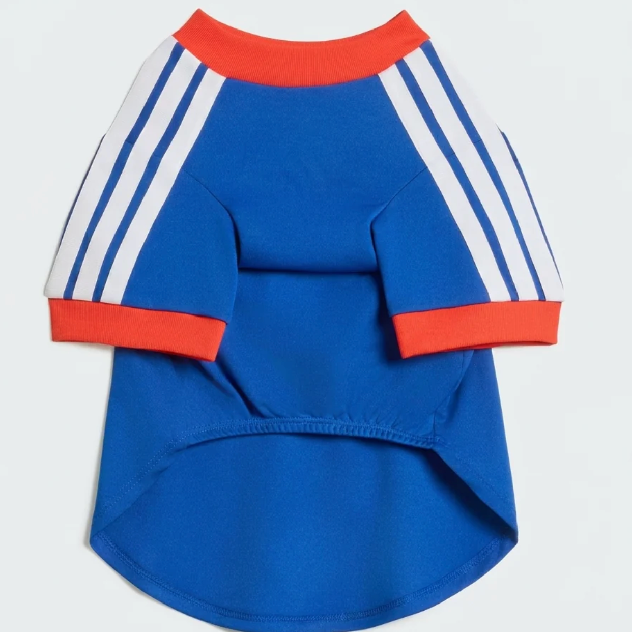 World Cup Dog Jersey — Nation Pack