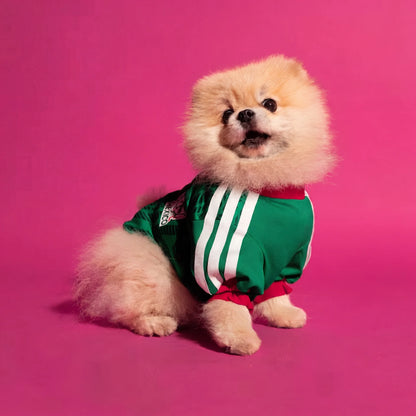World Cup Dog Jersey — Nation Pack